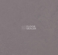 Линолеум Forbo Marmoleum Decibel on Order 373035 stella фото 1 | FLOORDEALER